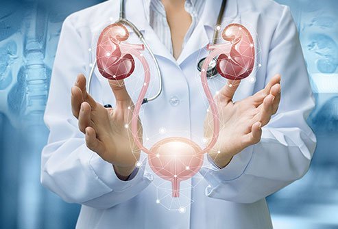 Urologist